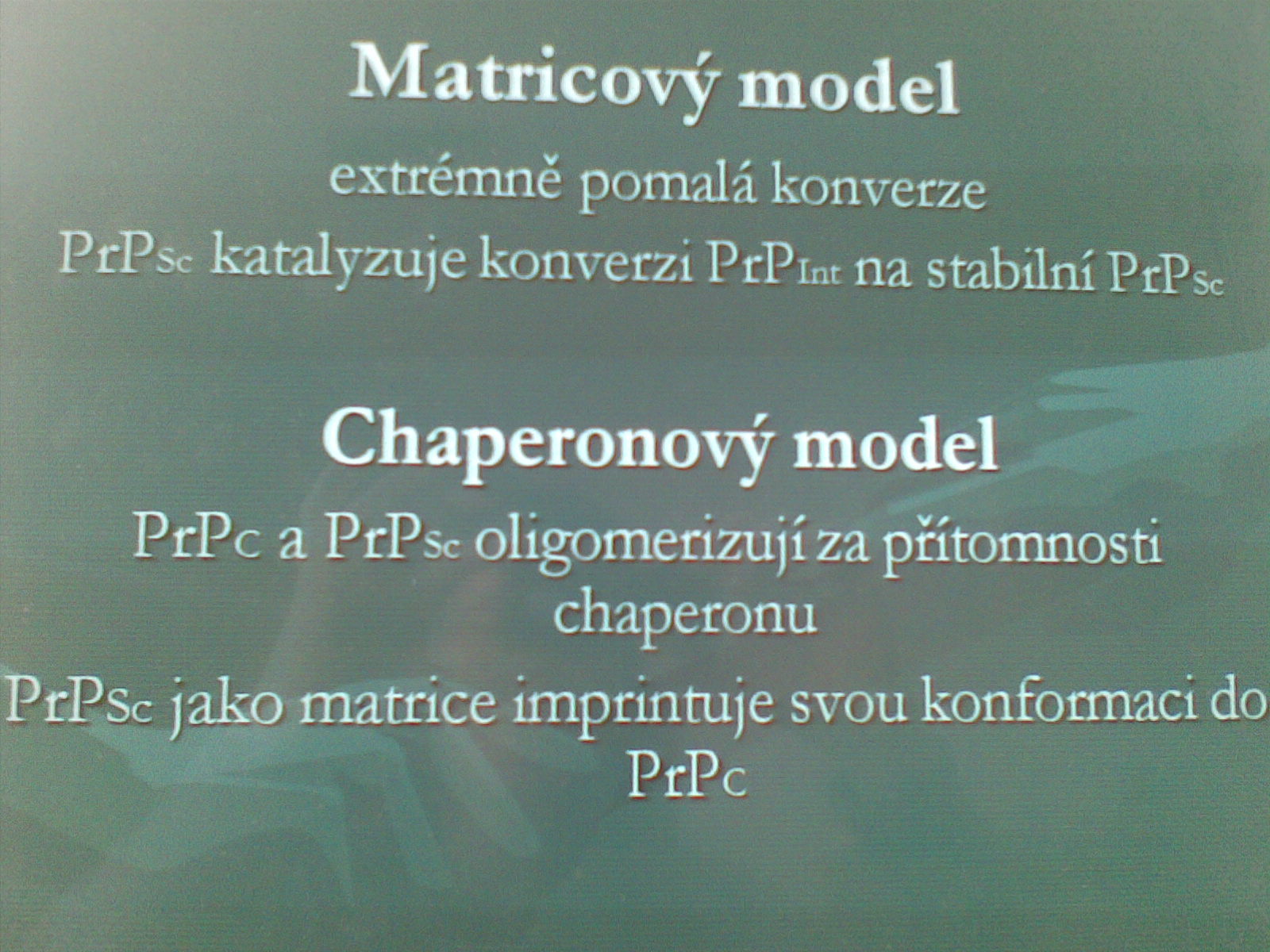11032010(015).jpg