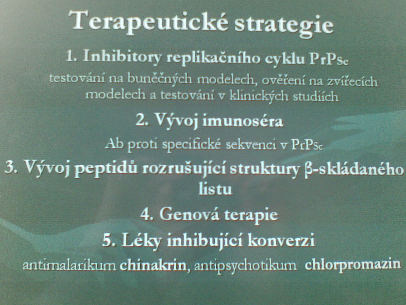 11032010(021).jpg