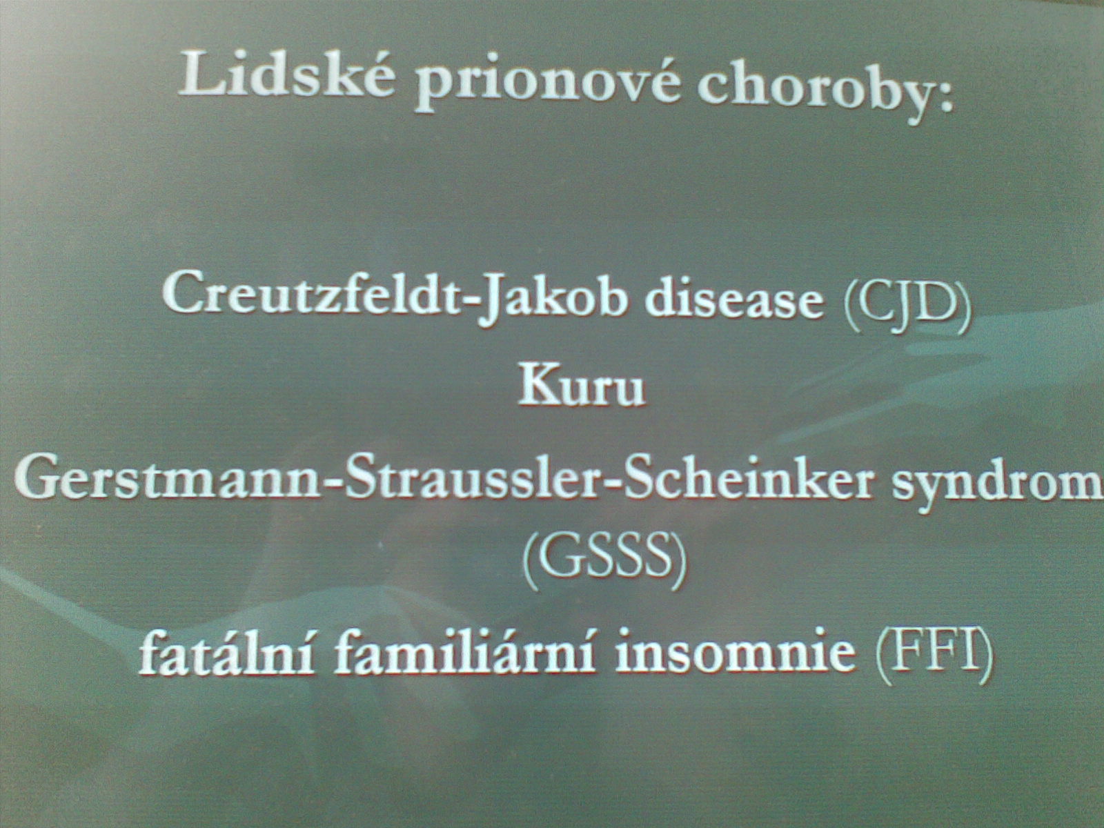 11032010(005).jpg
