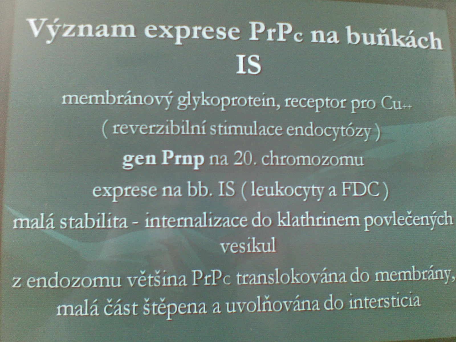 11032010(009).jpg